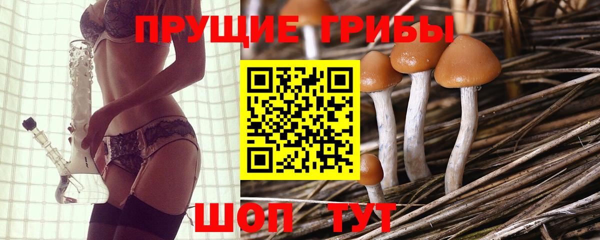 Галлюциногенные грибы Magic Shrooms Полевской