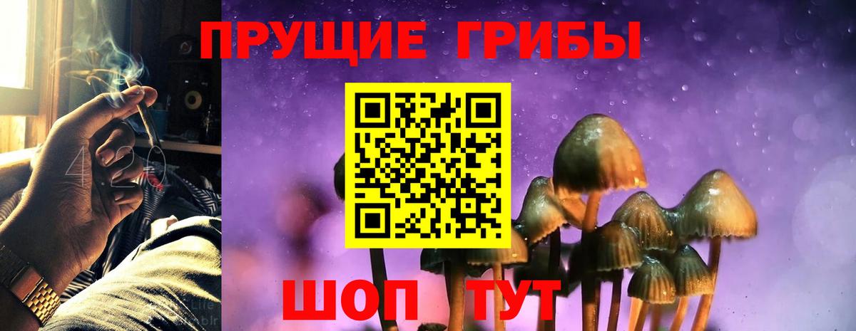 Полевской  Галлюциногенные грибы GOLDEN TEACHER  Вход с VPN 